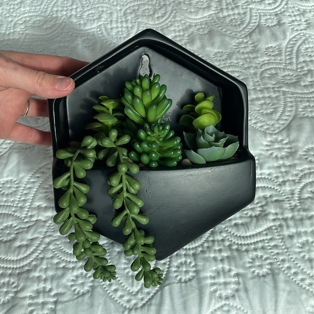 Succulent Home Decor